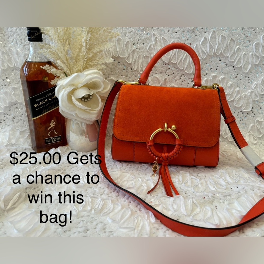 ❤️❤️❤️CHANCE TO WIN❤️❤️❤️This listing is for a chance to win SEE BY CHLOE BAG! - Picture 2 of 11